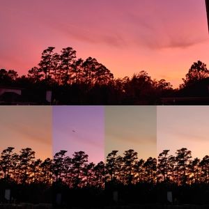 Meet your Posher, Myra